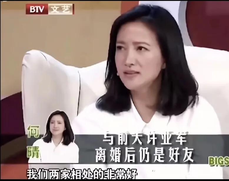 何晴在采访中谈及与前夫许亚军的婚姻感情:1. 针对与许亚军的离婚原因，她轻