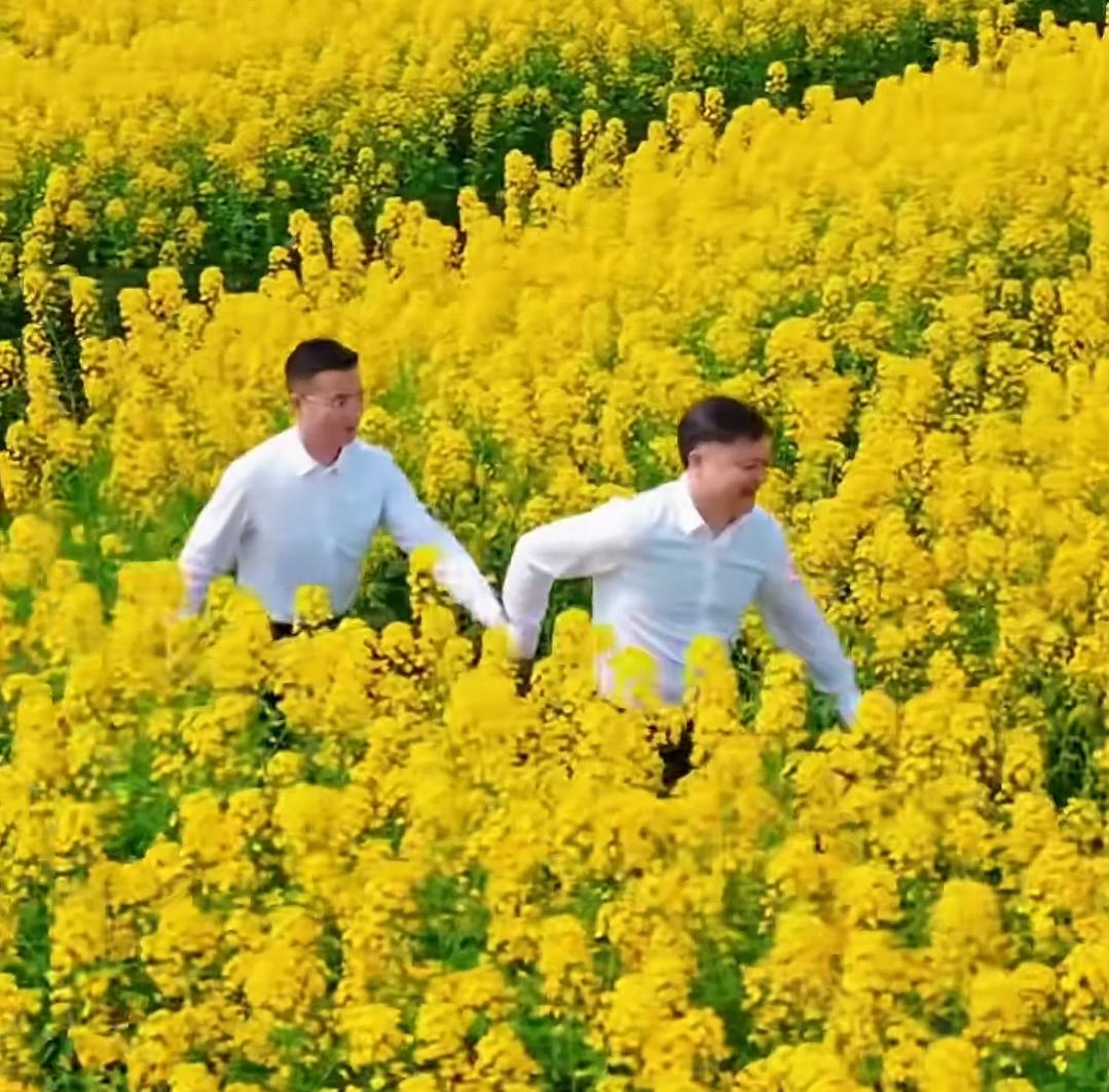 让两个大老爷们在金黄色的油菜花田间奔跑，效果果然不一般，可以给摄制团队加鸡腿了！