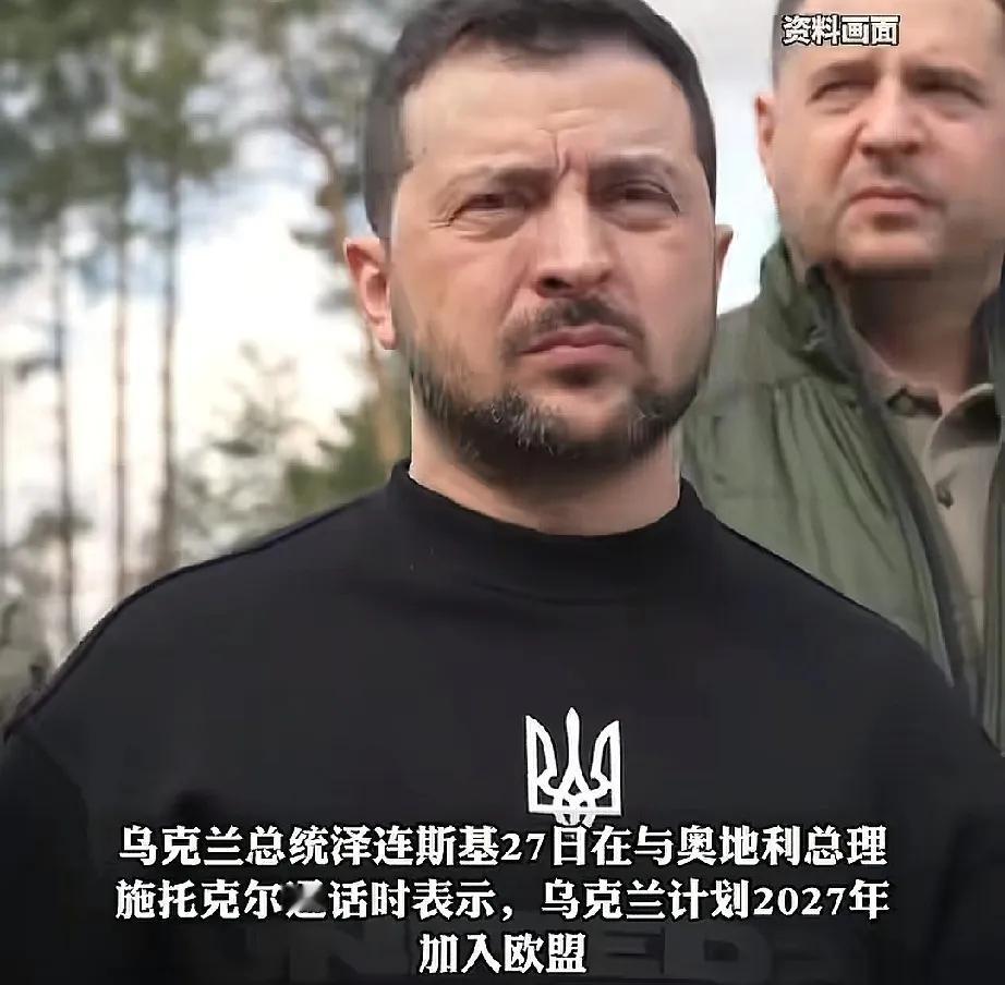 2027年乌克兰入欧盟？德国总理墨茨直接表示不可能！泽连斯基也没想到会是这么