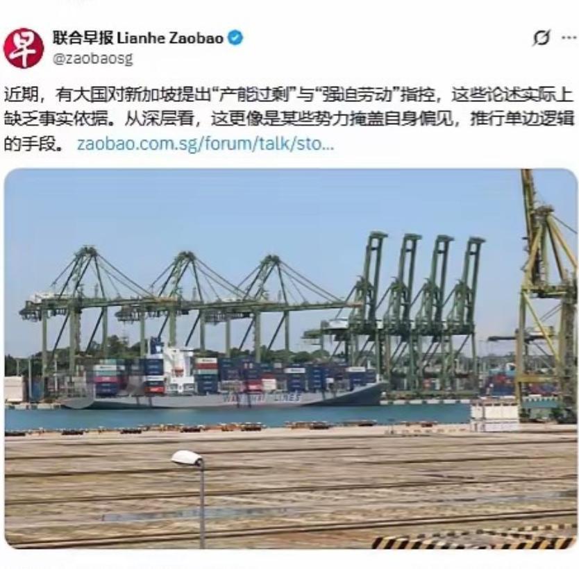 新加坡彻底凉透！现在连个帮腔的都没有了！还是没躲过美国的霸权铁拳，新加坡如今