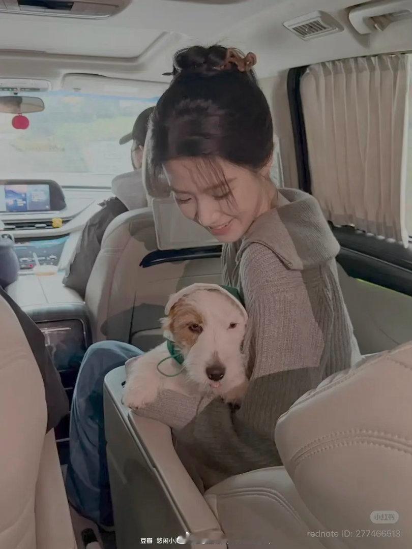 噜噜晓的狗怎么这么丑