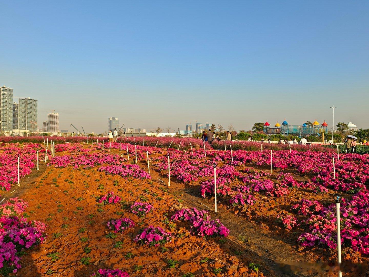 基础层-芯片、传感器、通信技术、计算架构是[人工智能+生态]的保障基础未