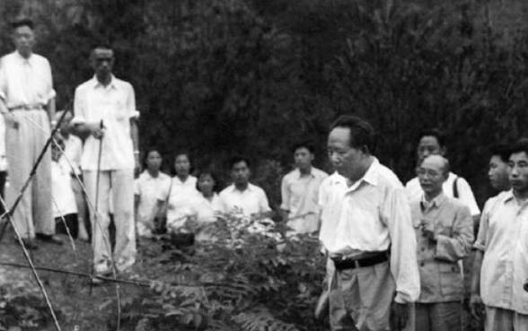 1959年毛泽东重返韶山，发现父母坟头有个小洞，当即做了一个动作。1959年，毛