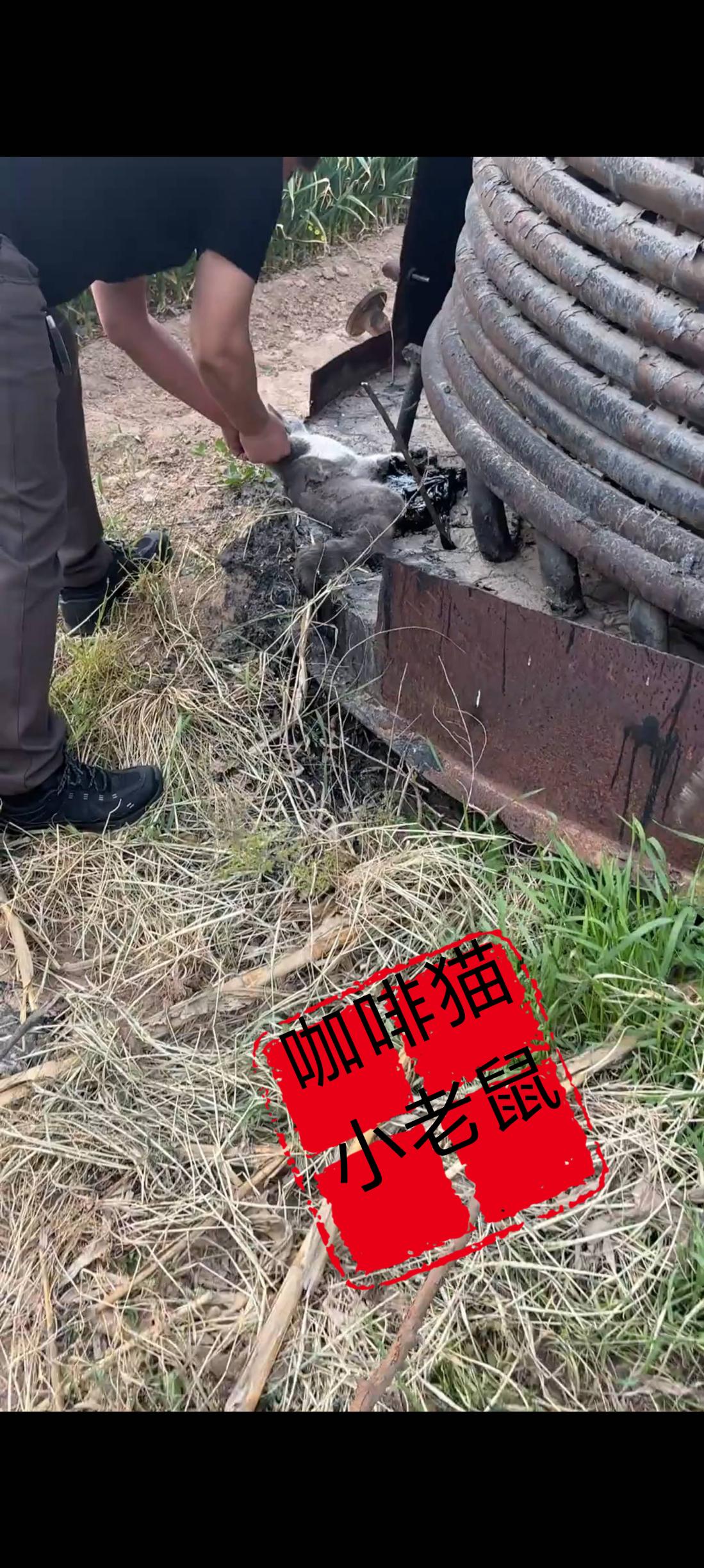 眼前的画面简直让人气愤不已，一帮骑着鬼火模样的精神小伙来到一处加工厂旁边的沥青炉