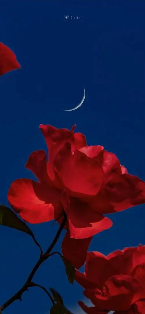 俺感觉，要拍出摄影作品来，最重要的问题不在于你有多么精湛的技术，多么独特的视角和