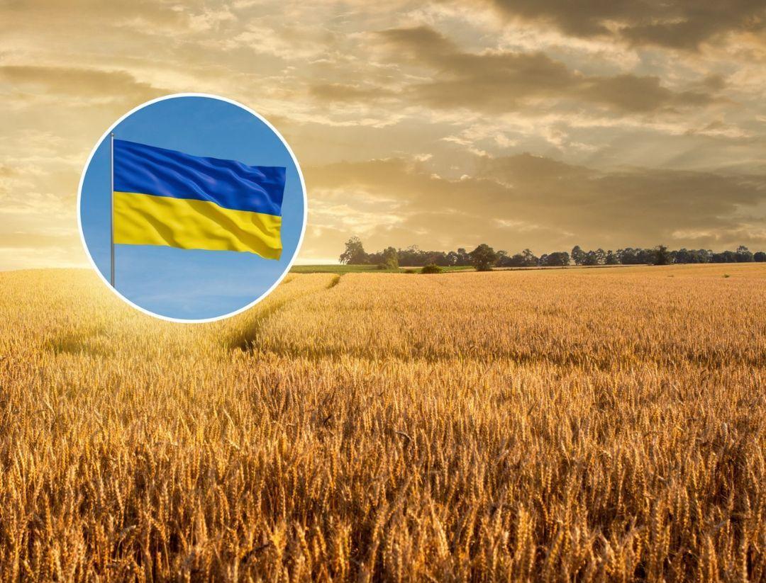 乌克兰黑土造就粮食强国乌克兰拥有全球约四分之一的黑色肥沃土壤，覆盖6500万公