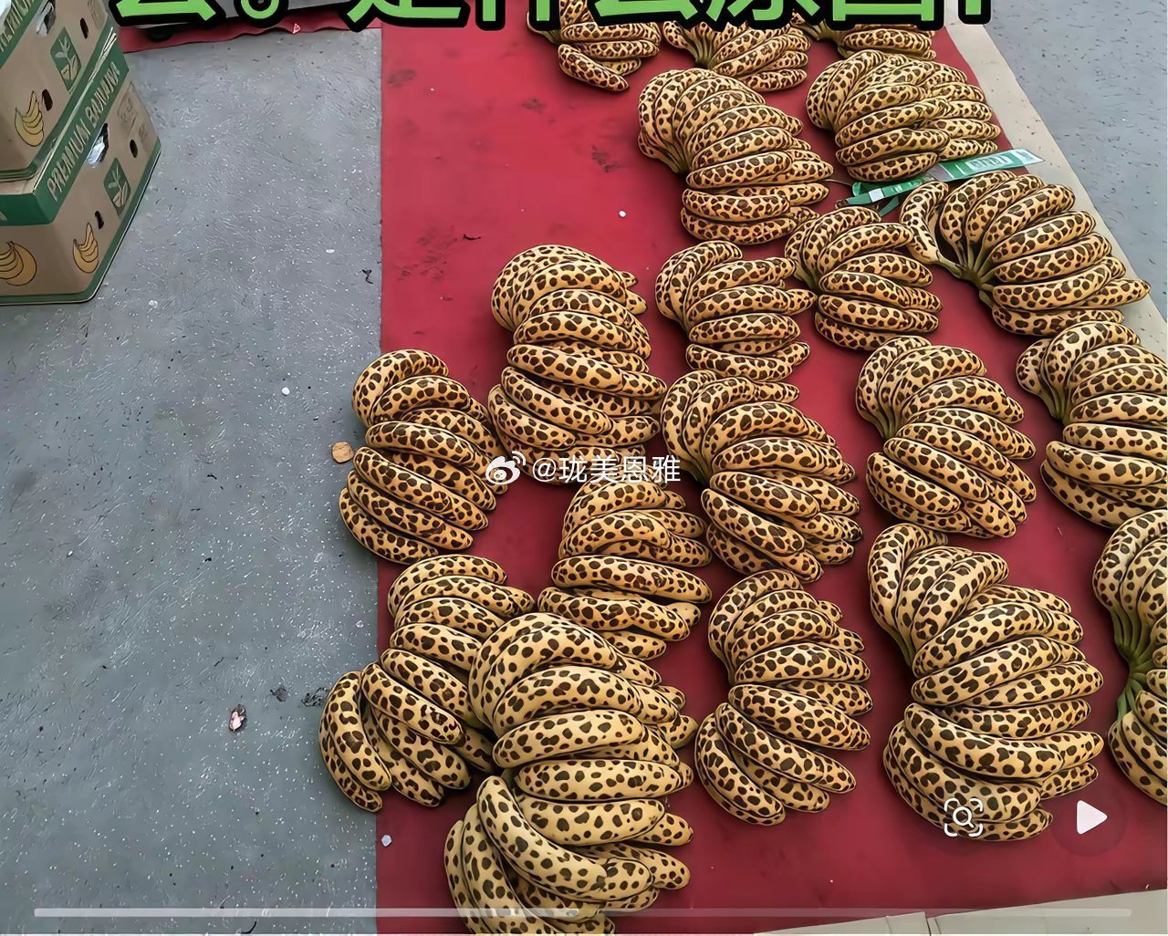 拉了两车进口香蕉累屎一坨也没卖出去大家支个招，到你们小区门口好卖吗