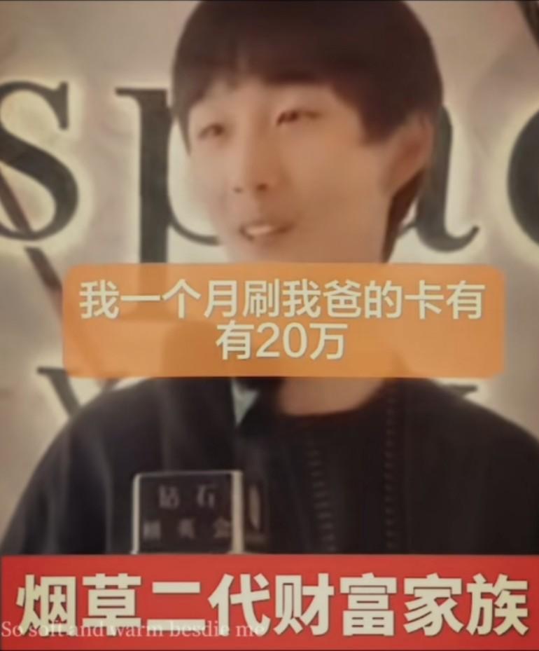 20万每月的零花钱，七八套房子，牛马们宁可抽烂自己的肺也要坚持供养烟草公子，真的