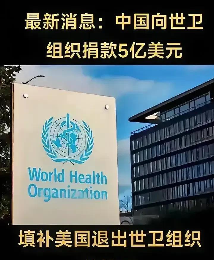 瑞士中立了个寂寞？世卫组织的总部以后干脆就设在中国，设在瑞士的日内瓦有什么意义？