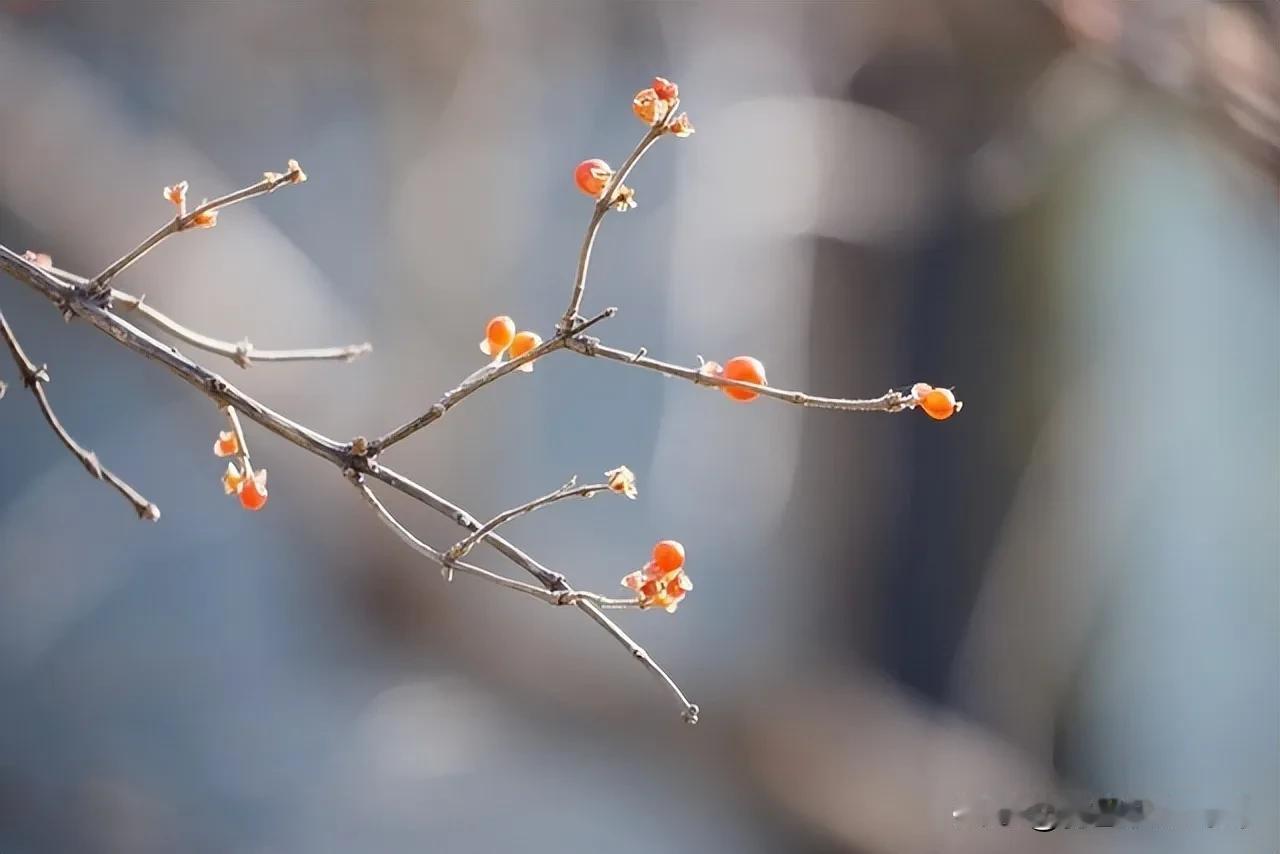 今日雨水，必吃这4道春菜！一护肝二润肠三安神四强免疫，错过等一年二十四节气