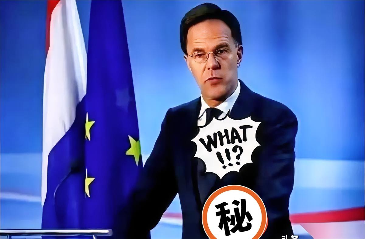 咱们这次也算是开了眼了。荷兰那边说咱们中国的反制措施“太强硬”，我看到新闻的时
