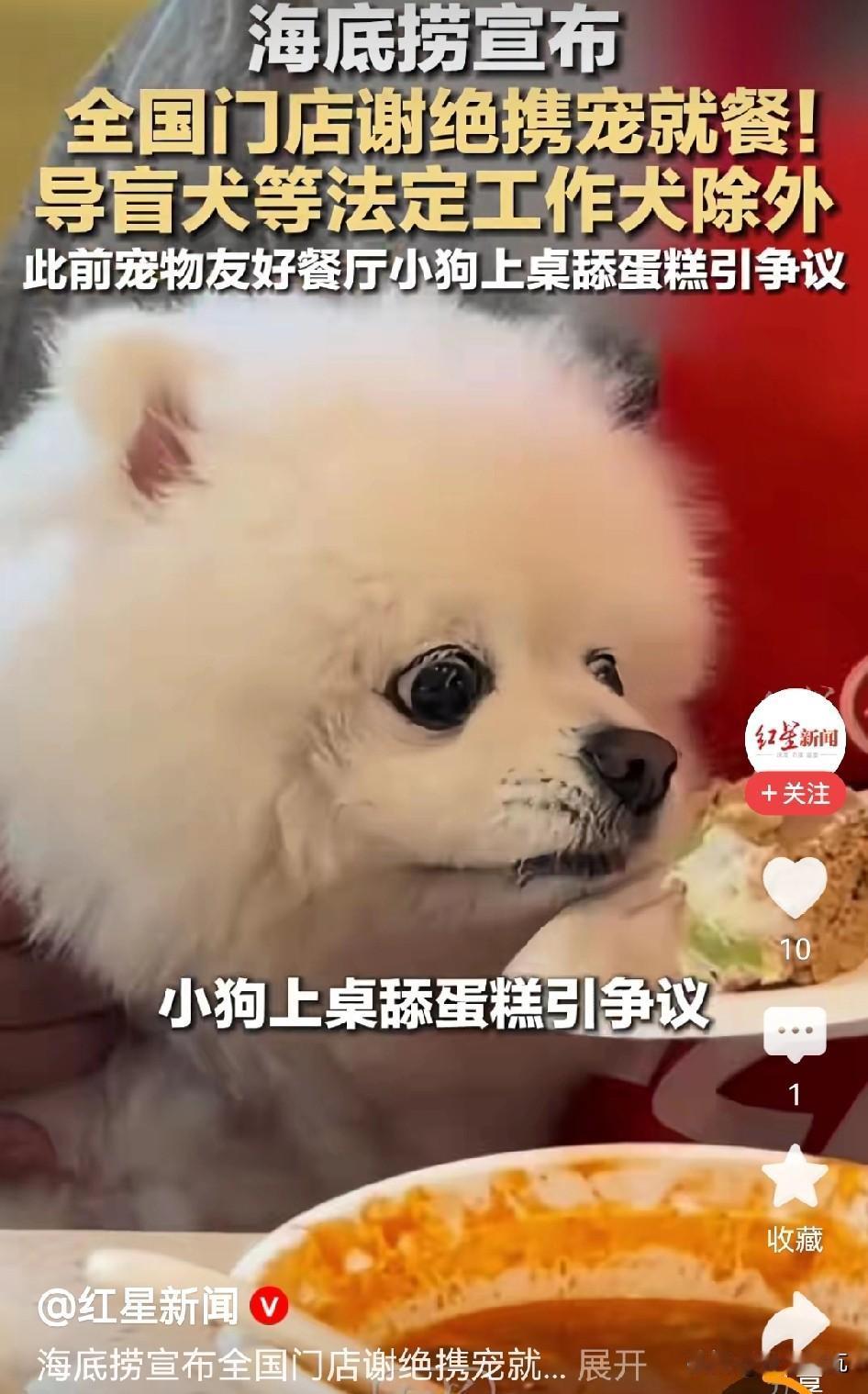 这一次，海底捞终于听劝，宠物餐厅不搞了，全国都叫停了！从去年9月份深圳海底捞第