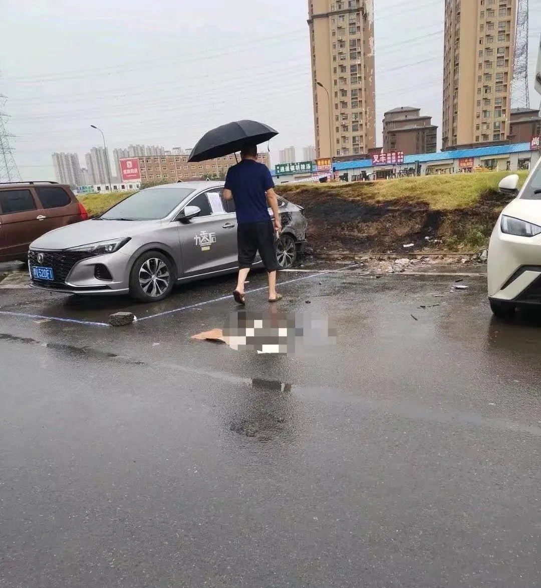 大哥一看天都塌了，谁干的