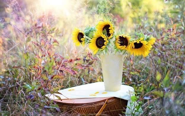 我父亲婚内出轨，跟我母亲离婚后，又结婚，生了个女儿，是在外面再找房子住，现在我父