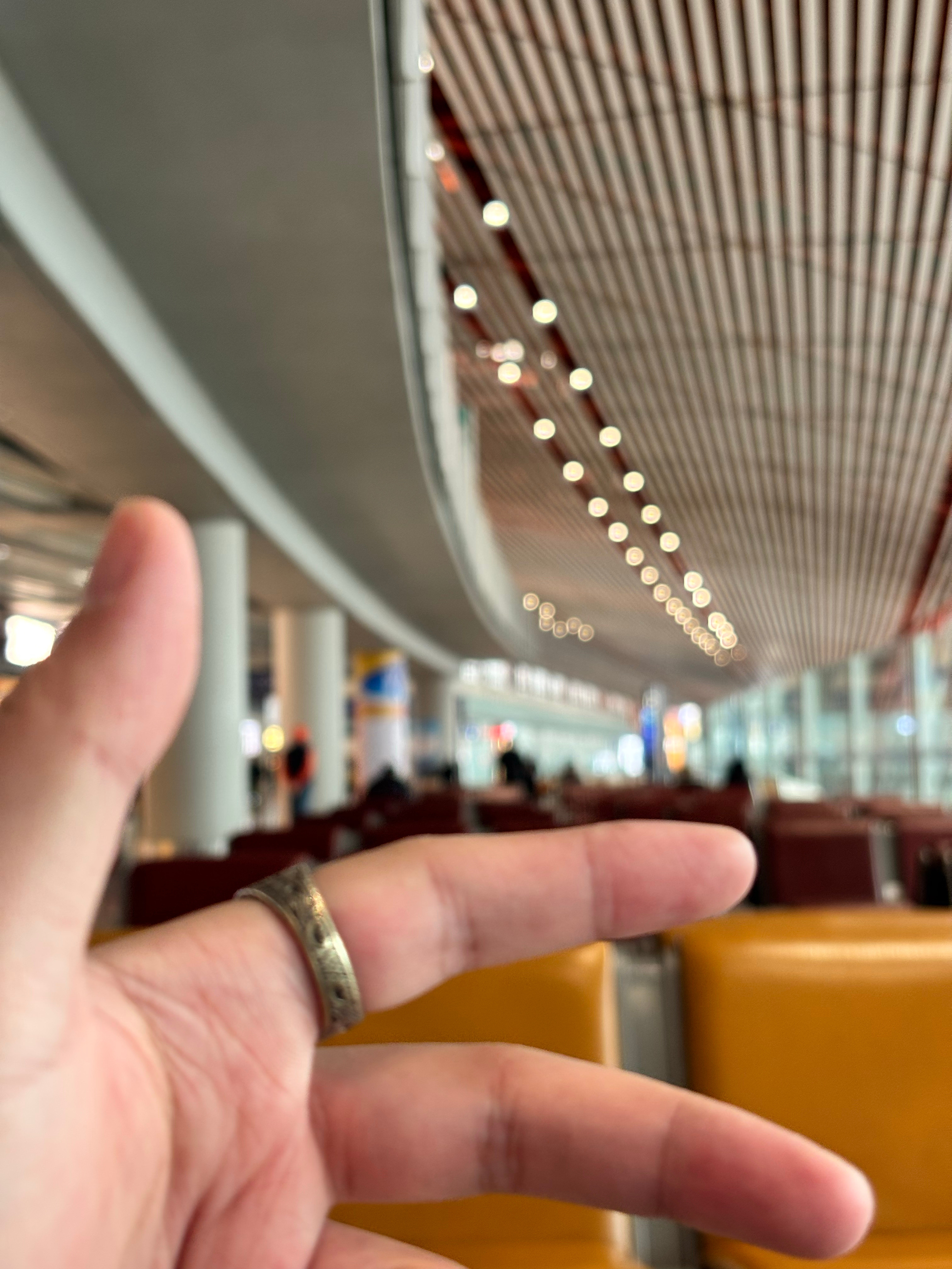 今日行程北京—杭州—上海​​​