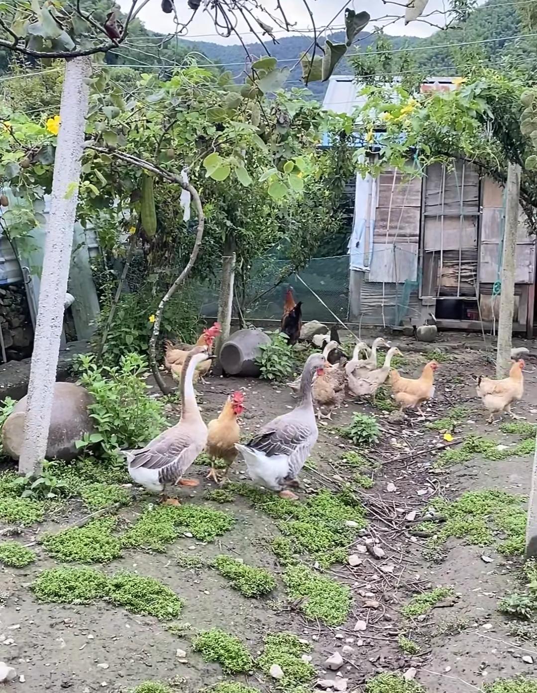 忙活一上午做了满桌菜，最后连口热饭都没吃上，还落得全家甩脸子——这事儿换谁不委屈