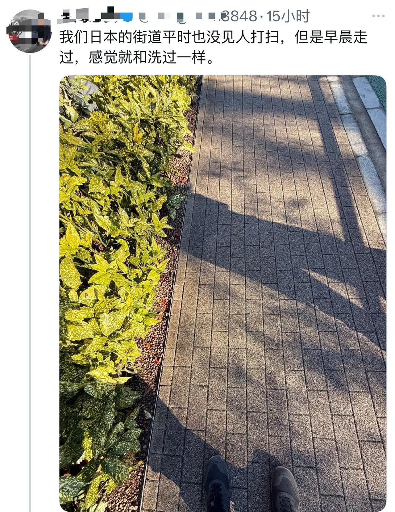 某华裔吹捧日本街头不需要打扫，因为日本人根本不乱扔垃圾，结果被人迅速打脸:谁说日