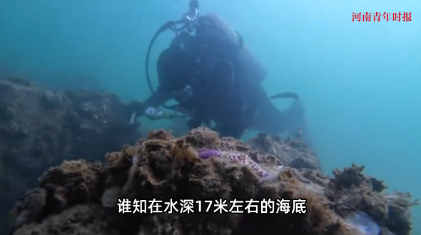 “简直赚翻了！”山东青岛，一男子在水底抓海螺，3小时赚了3500元！男子一瓶气就