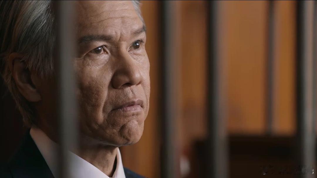 执法者们执法者们观后感说实话，很长时间的剧荒让我对各式剧集已经失去了耐心了，要