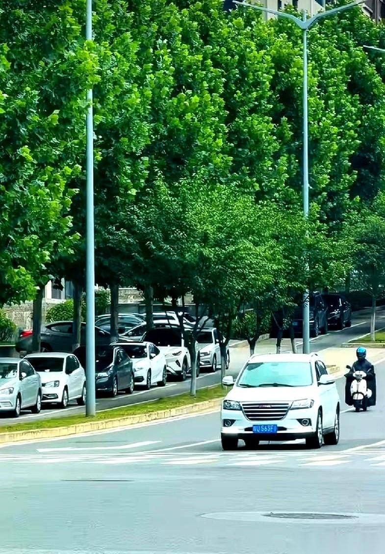 我跟你说，昨天下午刷到一张图，心都咯噔一下。西安，神舟六路，平地炸起一朵巨大的