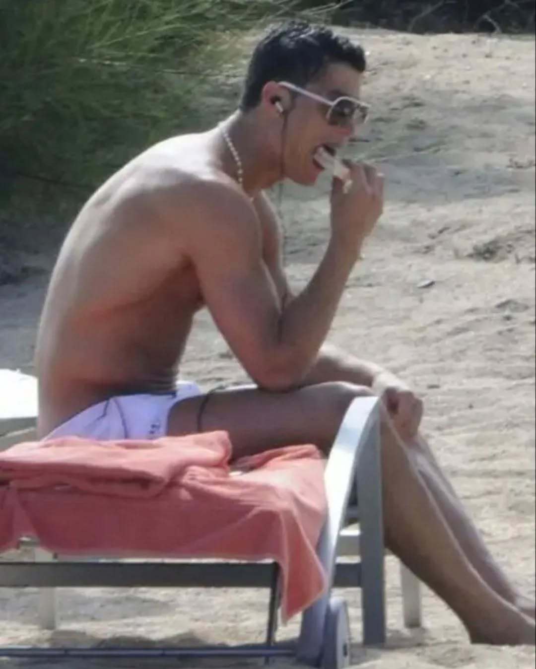 C罗c罗沙滩上的小黑狗​​​