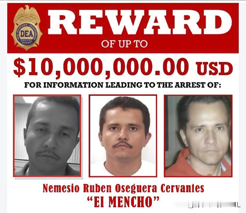 一个国家混乱到如此程度，看看墨西哥就知道了，真的是魔幻现实主义！击毙了世