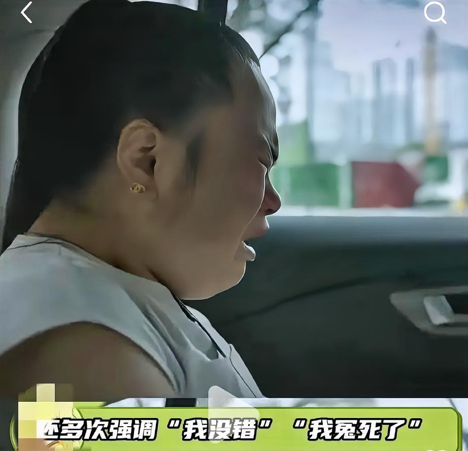 如果世界上有后悔药，王营营肯定第一个吃！她会不会后悔，自己带着芬迪去爬泰山呢？