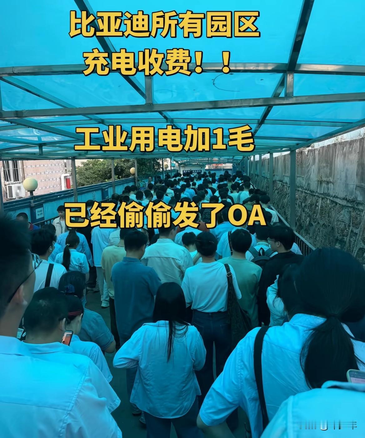 比亚迪园区充电即将告别“免费时代”，不少车主心里难免有些小失落，但理性来看，这其