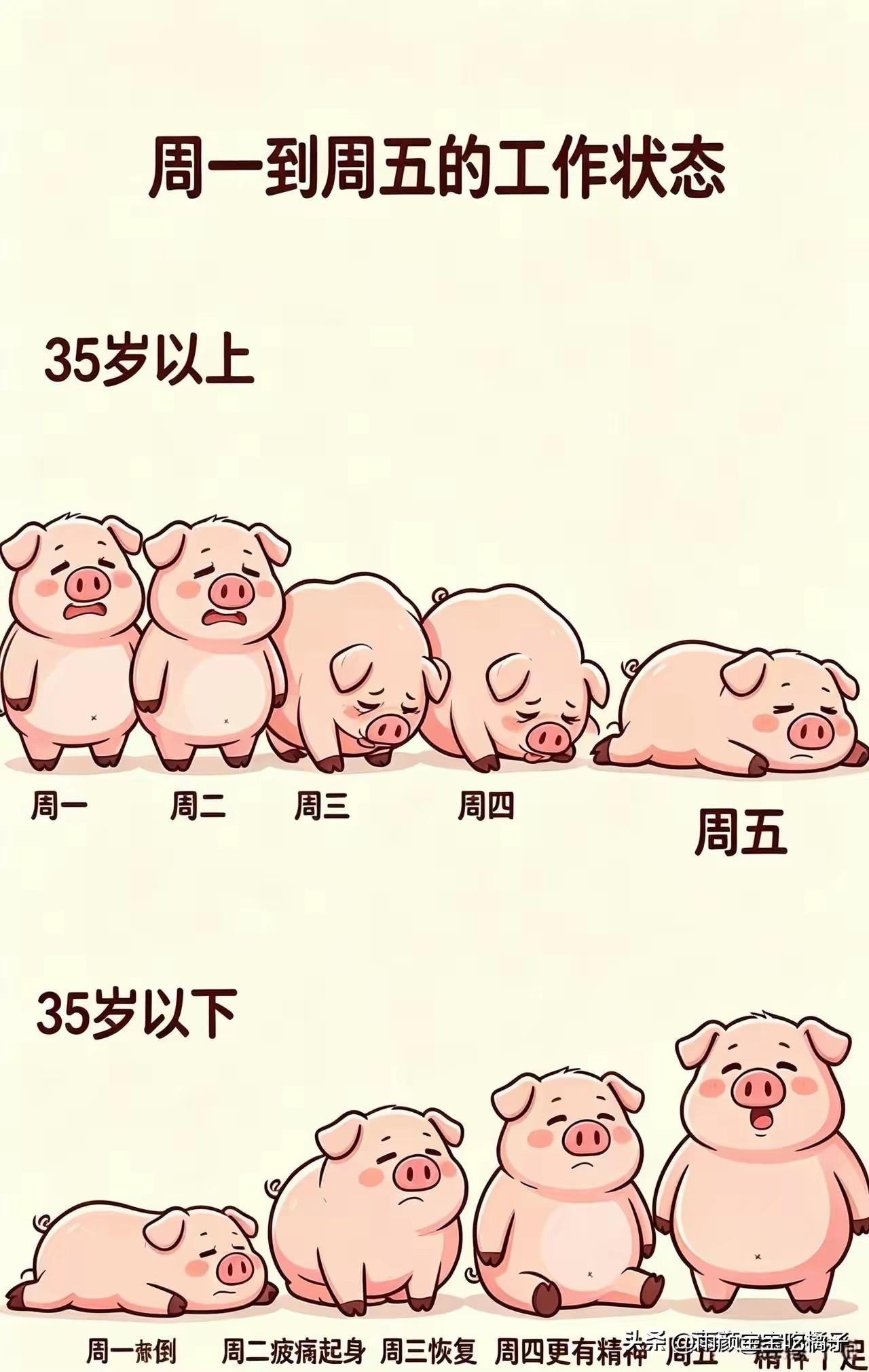 终于知道，为什么有的公司，不招聘35岁以上的员工了！[捂脸哭][捂脸哭][捂脸哭]