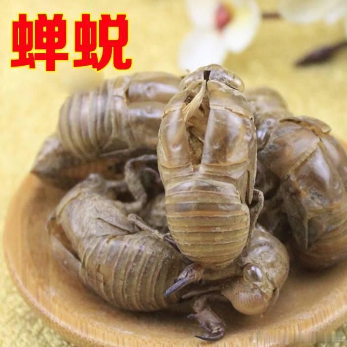 过敏性紫癜紫癜过敏性紫癜效验方——祛风解毒汤：组成：蝉蜕6克，