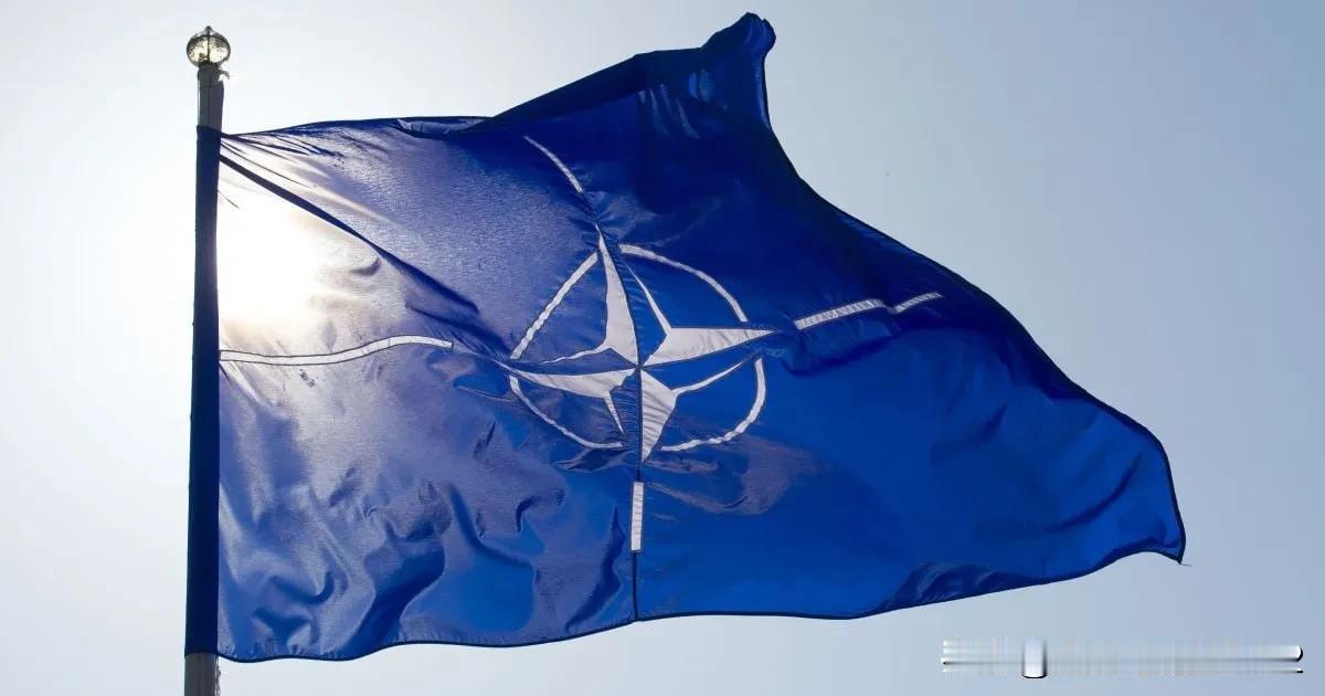 不想再中立：又有国家，因惧怕俄罗斯，而想加入北约奥地利外交部长迈因尔-赖辛
