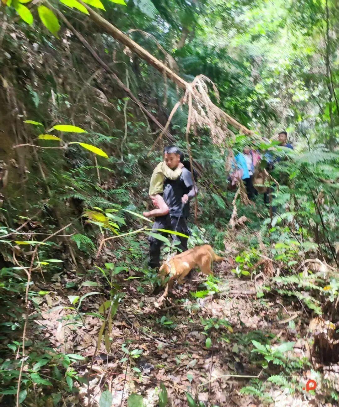 奇迹发生了！肇庆11岁男孩误入无人深山，失联13天，就在所有人都以为孩子已经遭遇