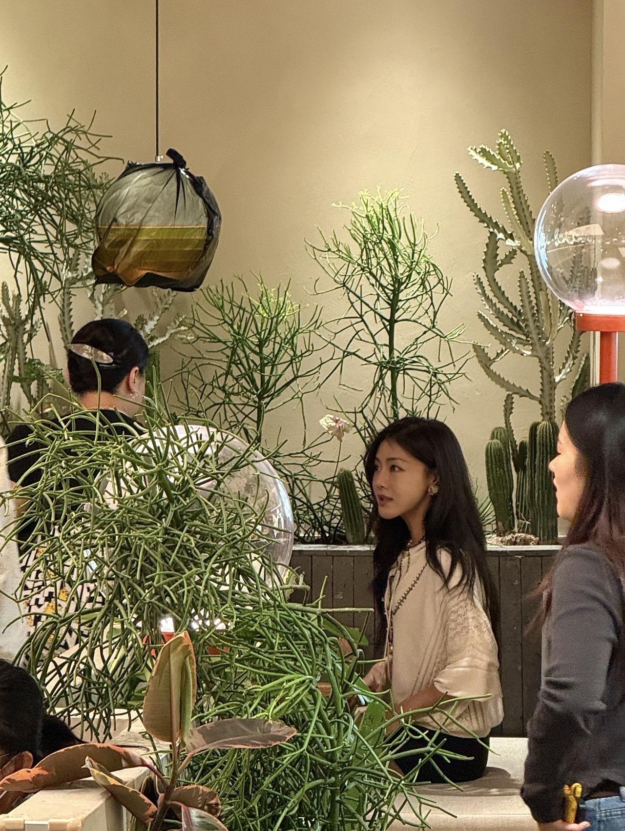 11月13日，有位网友在重庆偶遇邓家佳，她在南坪一家餐厅吃烤鱼。邓家佳一头披