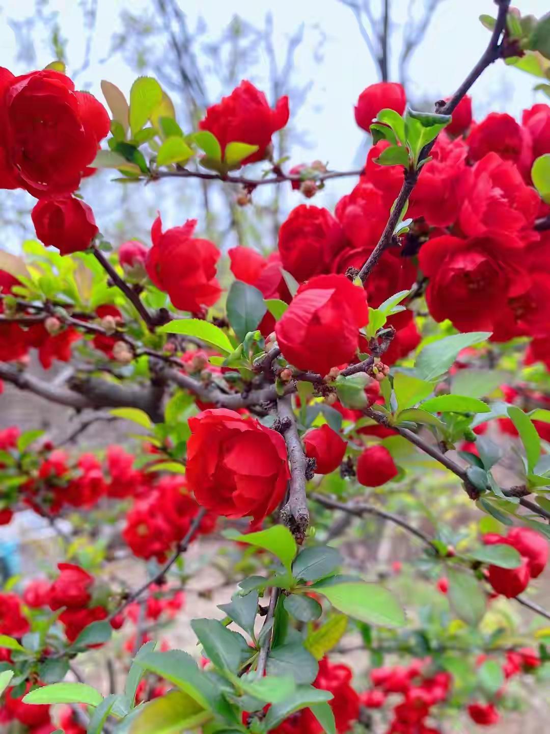 今年春节结束了，亲戚群里大家一致决定，2026年春节必须改变一些规矩了！一是