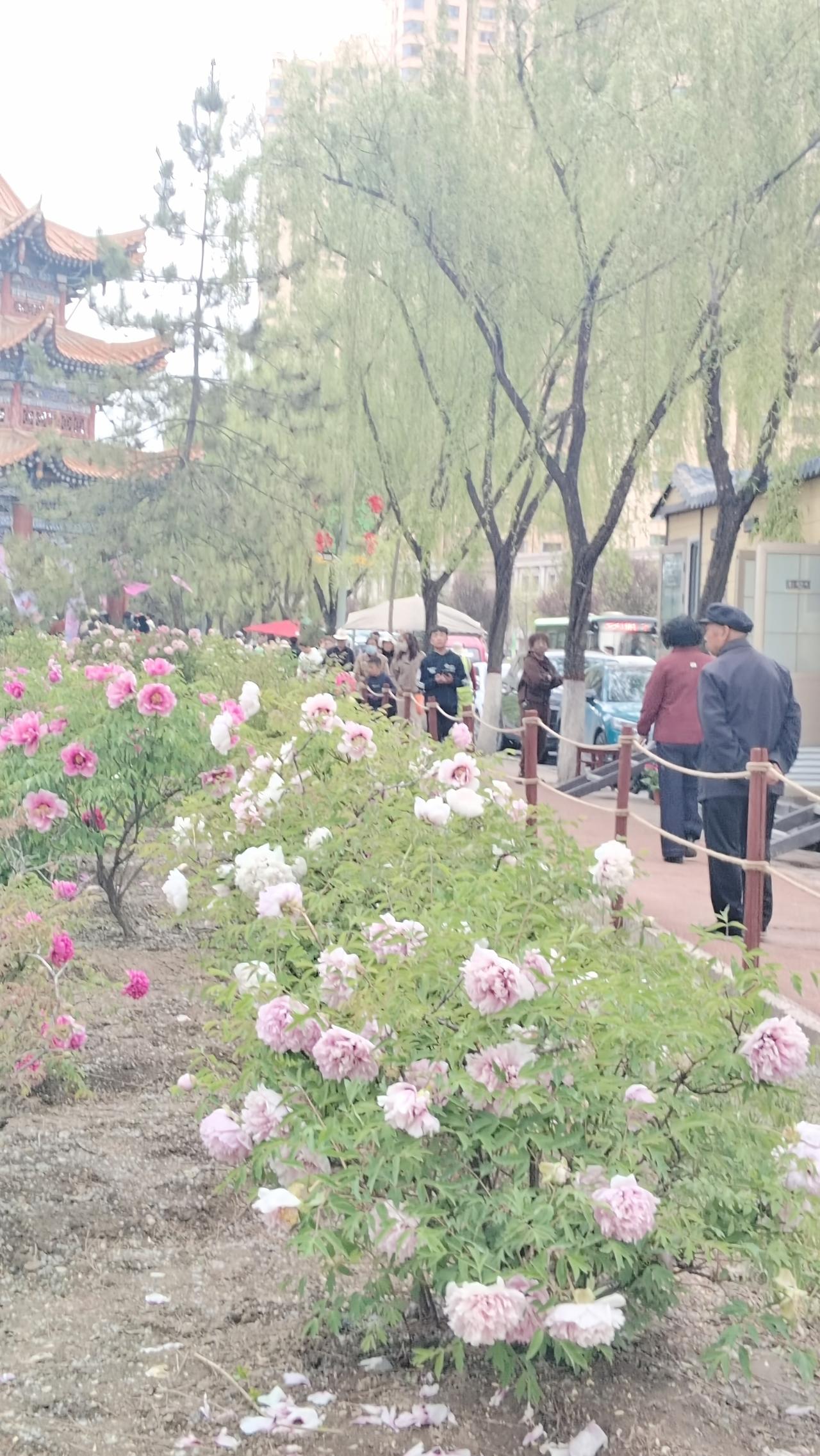 五一假期，别人都去旅游了，我依旧坚持晨练。今天晨练，我选择小跑与快走结合，用时一