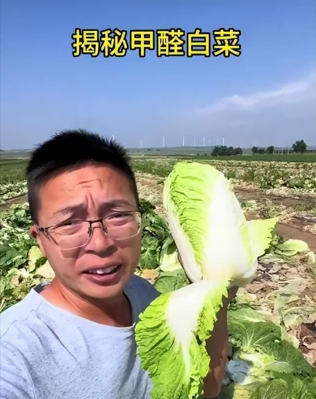 于东来恐怕怎么也想不到，甲醛白菜曝光才几天，胖东来又意外刷屏出圈最近几天，胖东