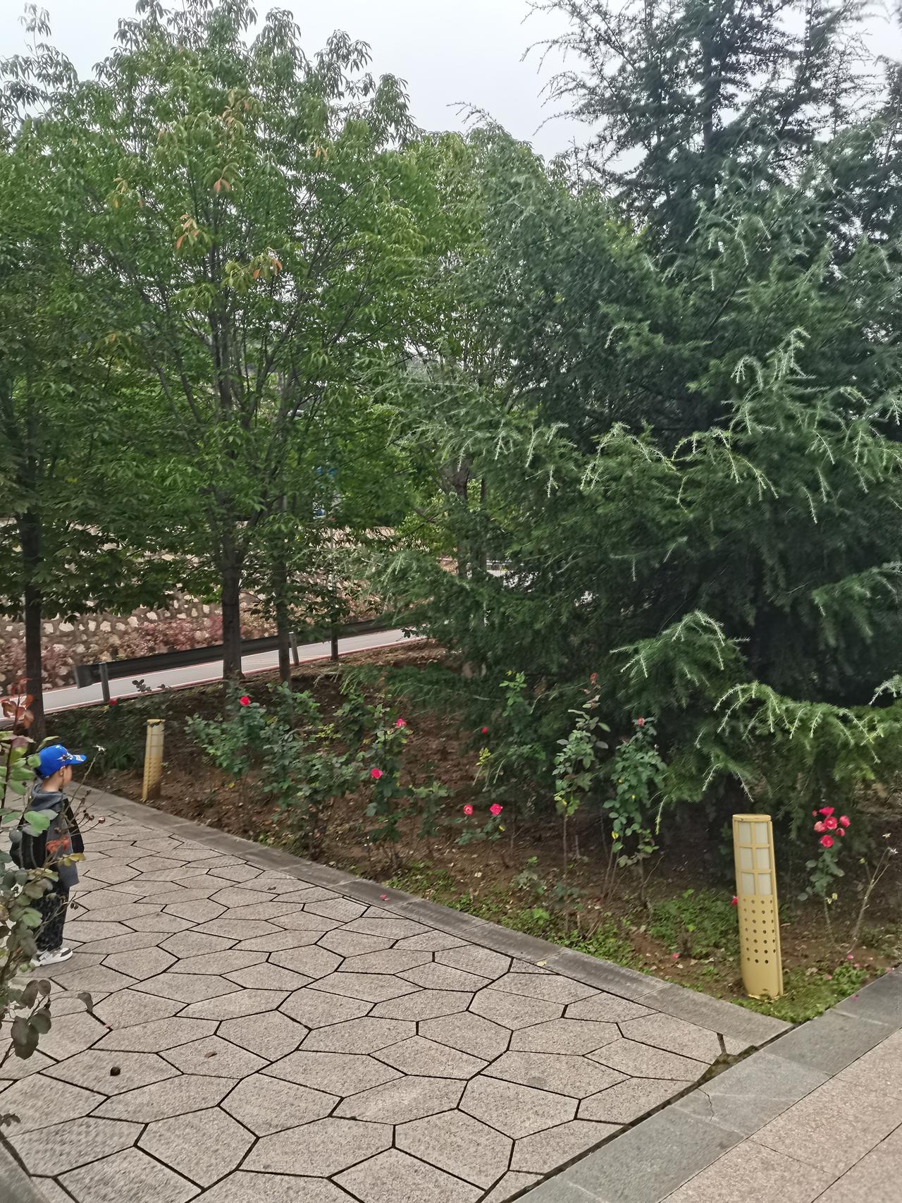 一日三餐之中应该少吃的是哪一餐晚餐最应该少吃，晚上没有运动量，少吃点消化快，对身