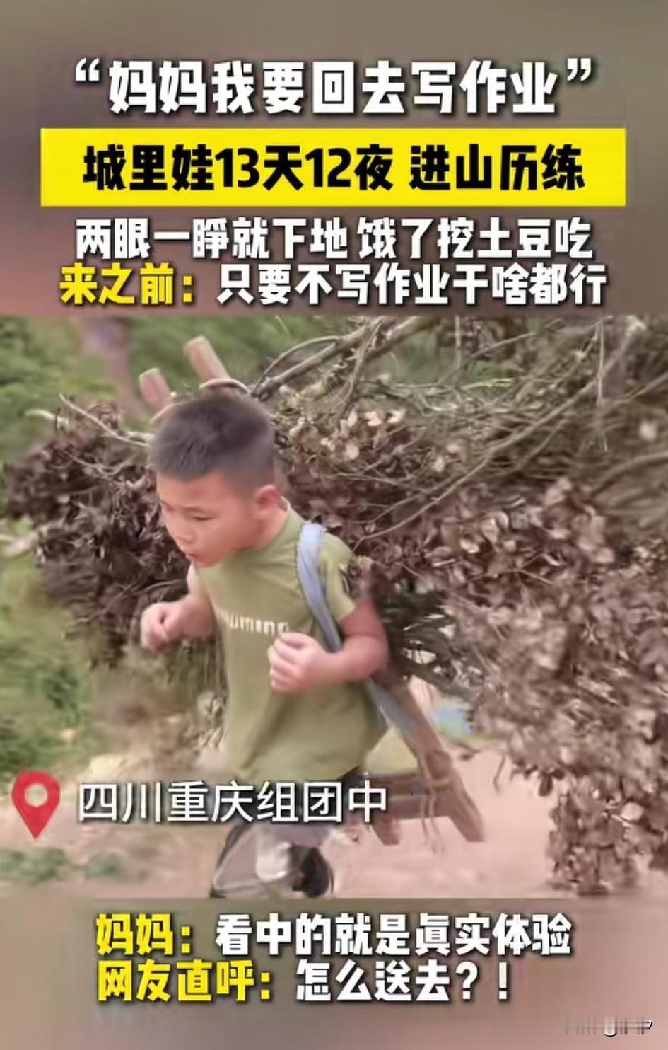 城里娃不愿意写作业，妈妈就将他带进山里，呆了13天12夜，还有很多像他一样