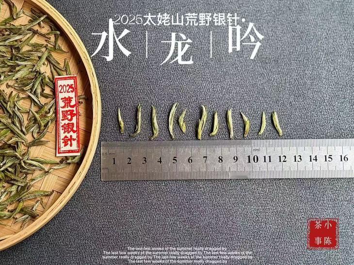 茶叶要怎么泡才能物尽其用、不浪费？不想浪费好茶，首先肯定要学会用正确的方式泡茶
