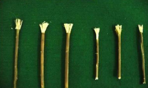 没有牙膏的古人，为了口齿清新，早已把智慧发挥到极致——你以为古人都是“笑入榴花百
