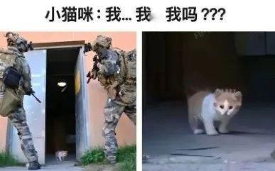 我干嘛了