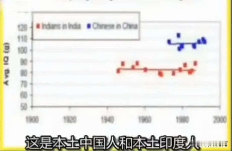 美国专家：“中国人跟美国人的大脑是一样的，甚至更强，但印度人的平均智商只有可怜的