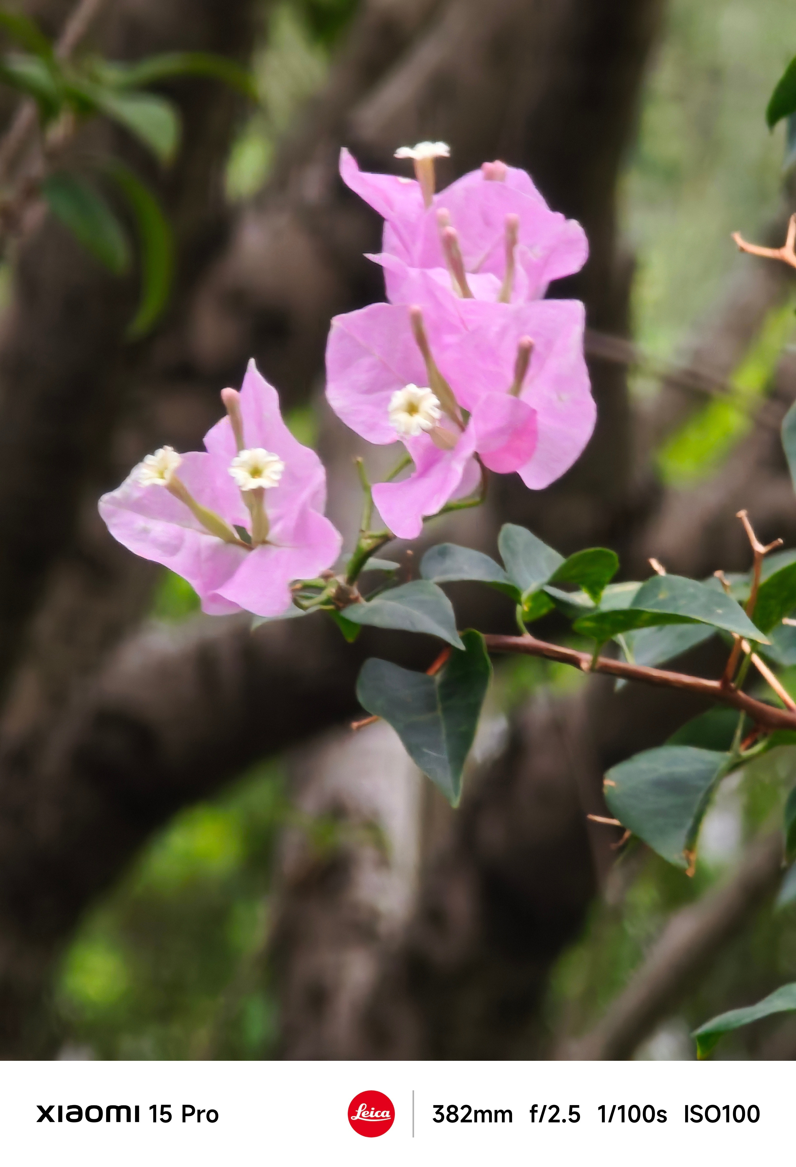 “请问我不会编程的文科生，在AI大爆发的当下，我应该如何跟上时代浪潮？”看下小米