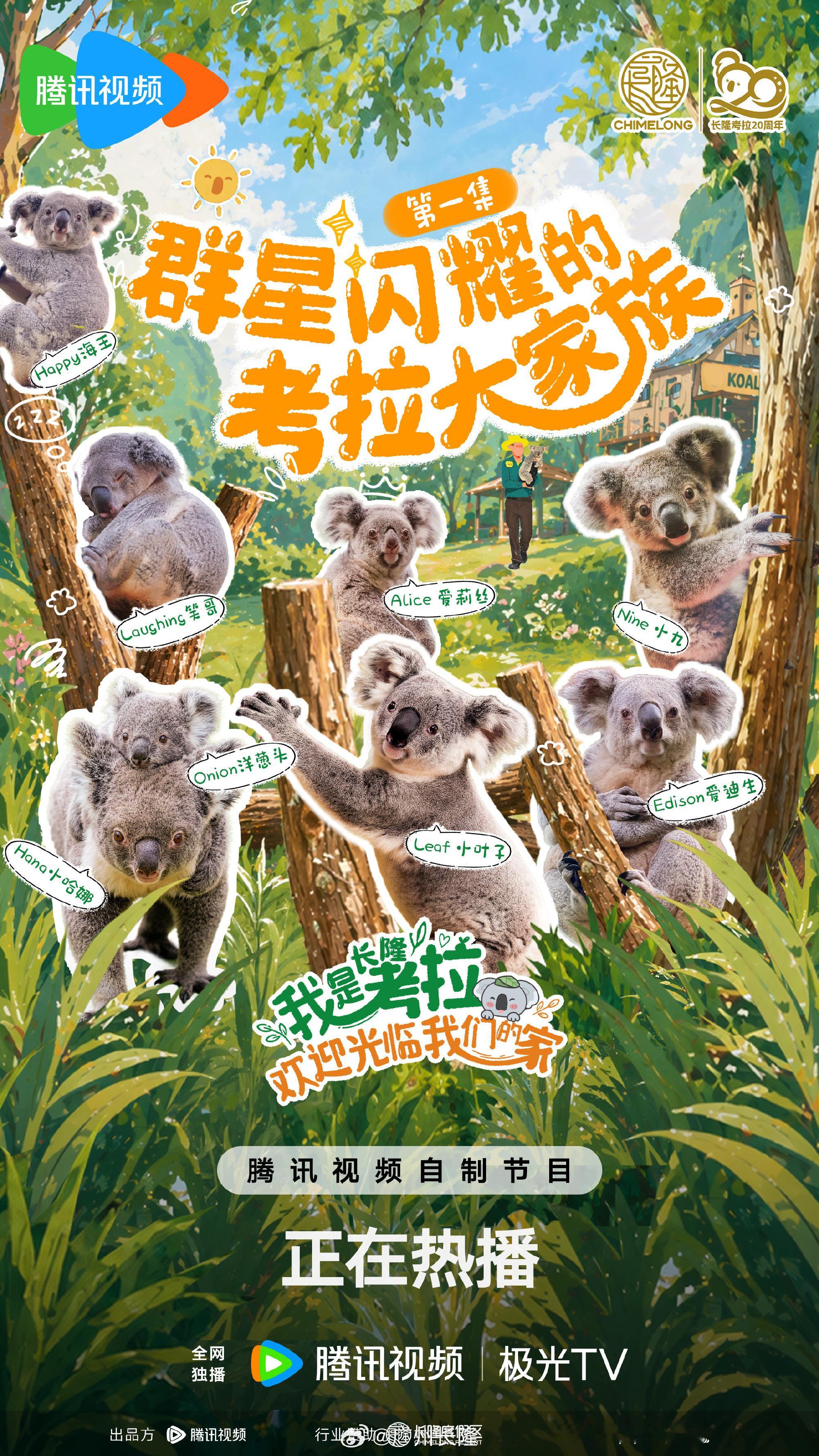 明天10点约定你⏰一起走进长隆考拉大家族🐨  在长隆野生动物世界考拉...