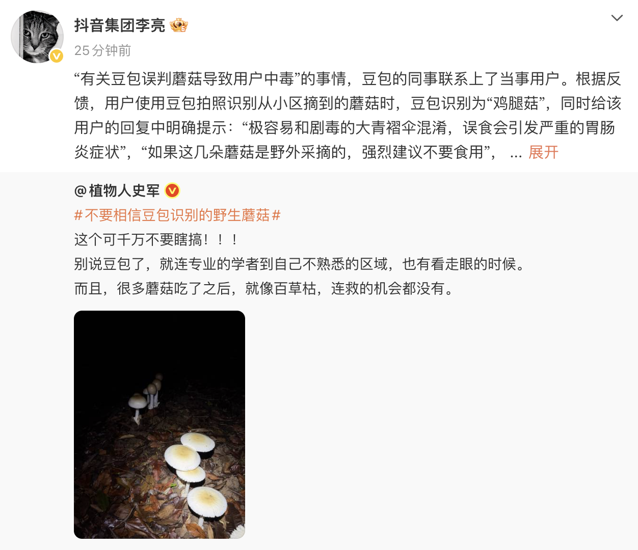 网传豆包误判蘑菇导致用户中毒