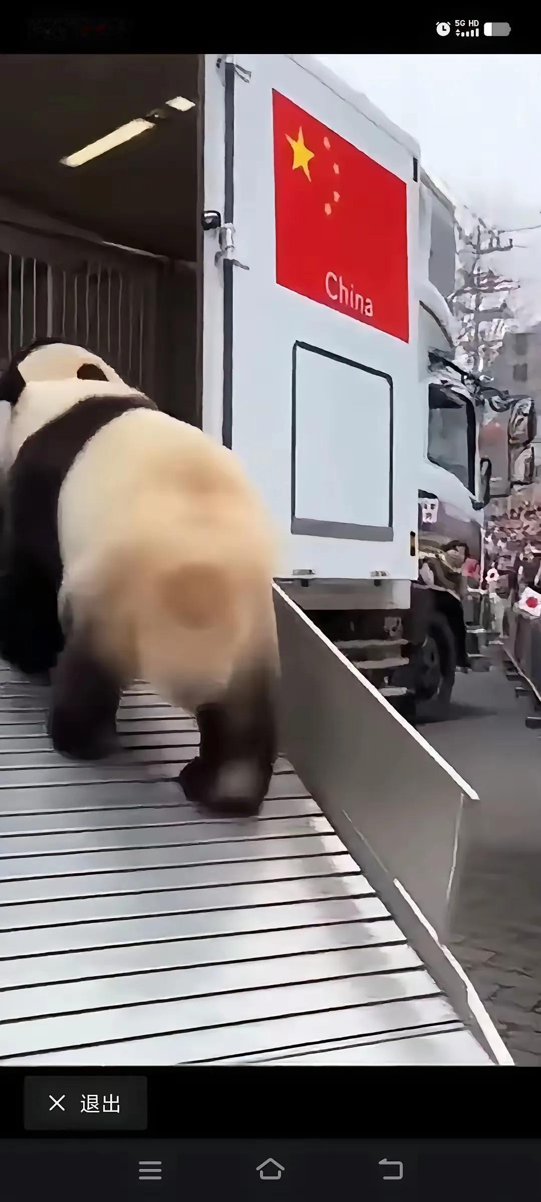 日本民众哭天抢地送熊猫，咱四川籍的晓晓蕾蕾愣是头也不回上车，这画面看着也太