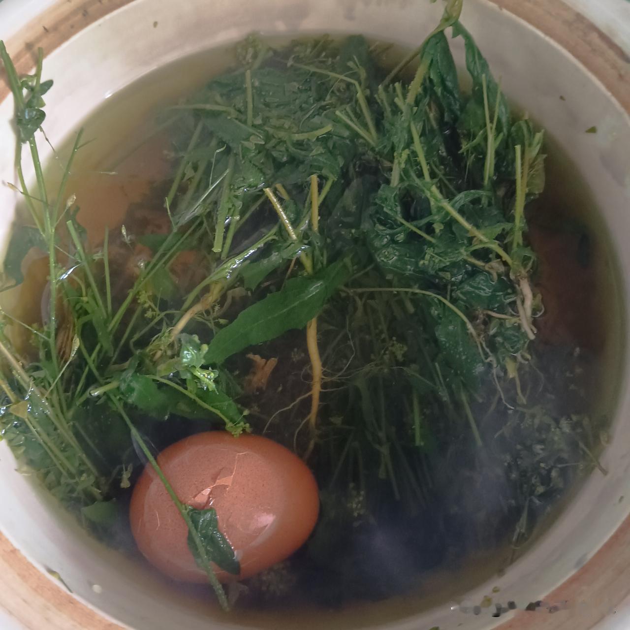 记录我的2026荠菜煮鸡蛋，虽说还没到三月三，我先煮来吃两天