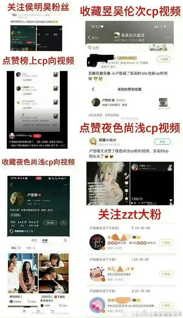 檀丝颤抖吧，你们的鲈鱼猫猫来了