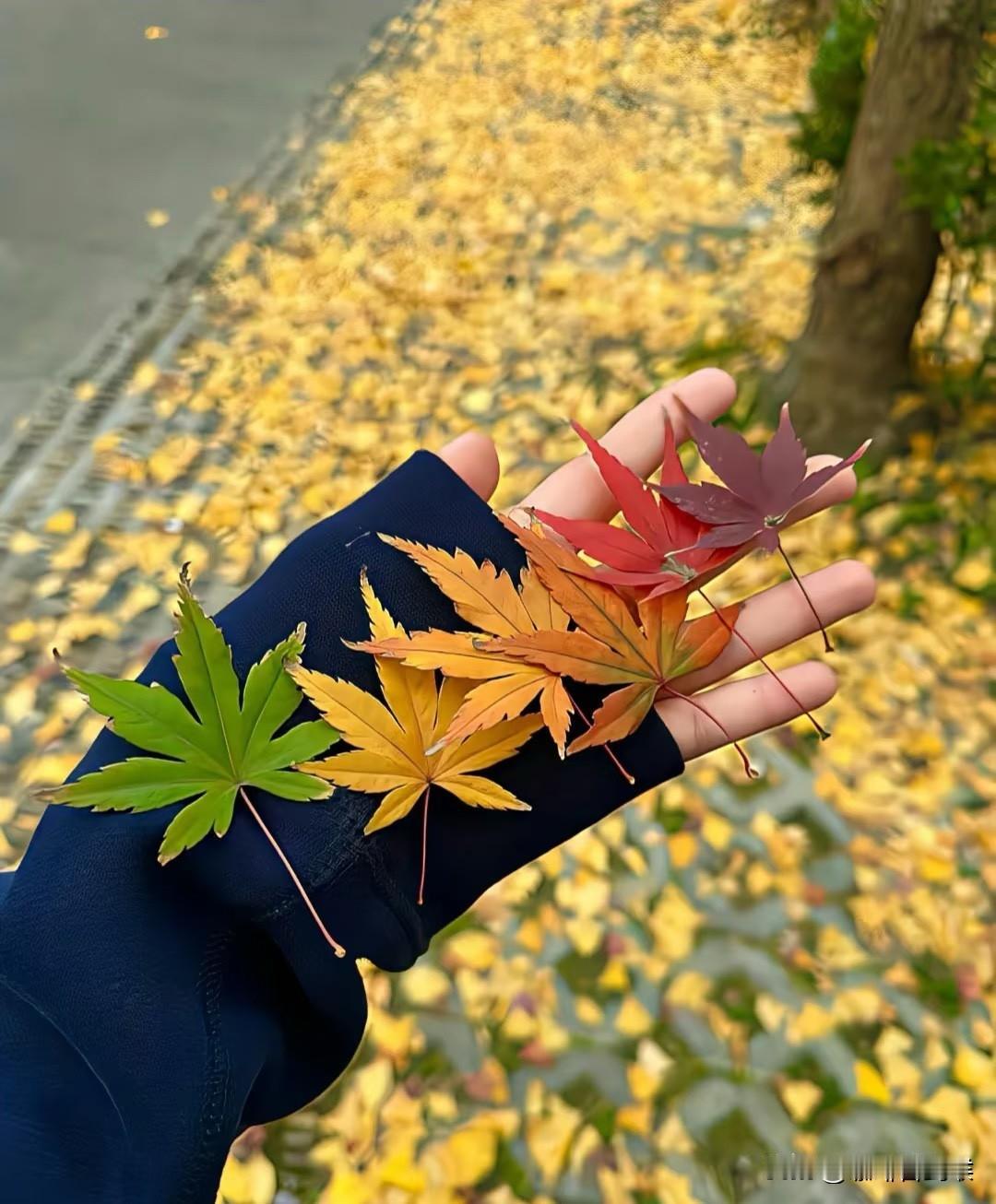 中午儿媳妇回家吓我一跳。中午吃饭的时候,儿媳妇下班回来了,一进门就抱住我哭了