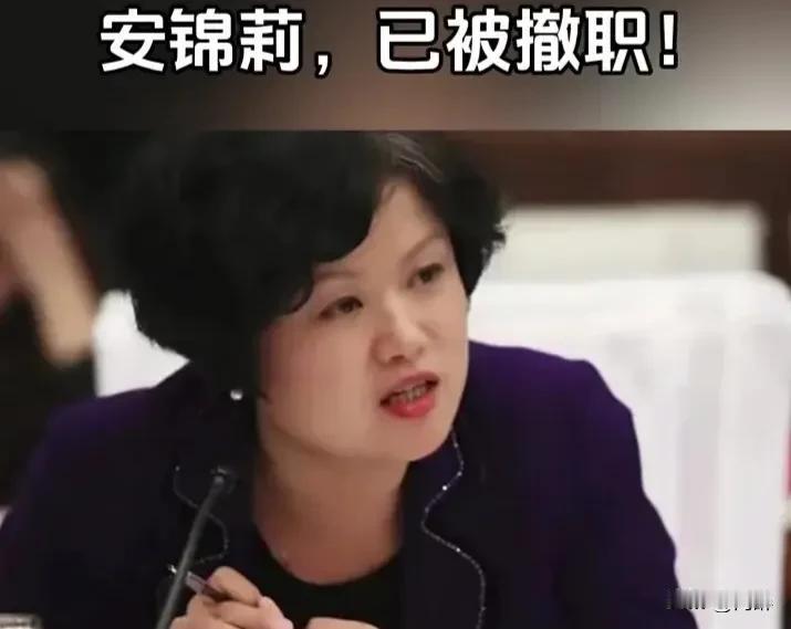 一边贪污腐化，一边又不断获取各种荣誉，张家口市第十中学原党委书记安锦莉真是将两面